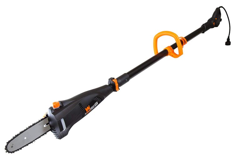 Best Pole Saw Best Yard Tools