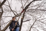 Best Tree Pruner – Top Five Picks